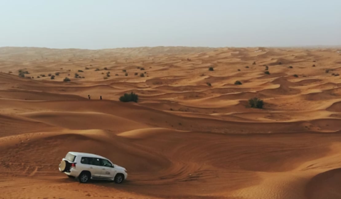 Screenshot from 2026-01-30 15-08-46